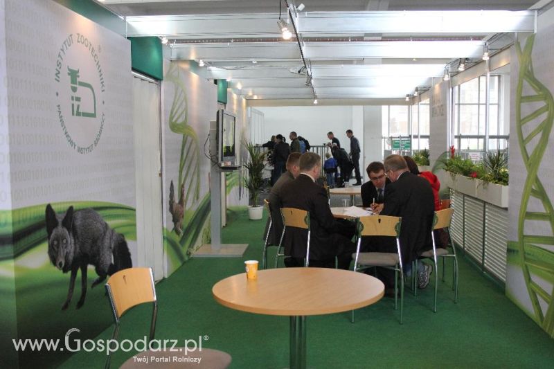 XXVI Krajowa Wystawa Zwierząt Hodowlanych - sobota i niedziela