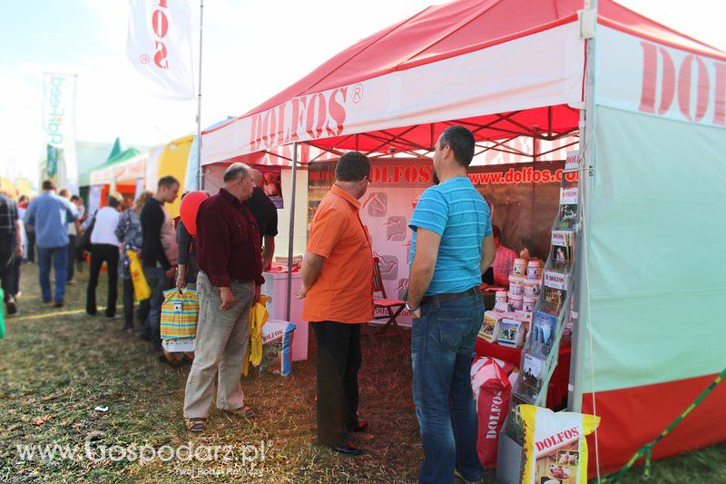 Dolfos na Agro Show w Bednarach