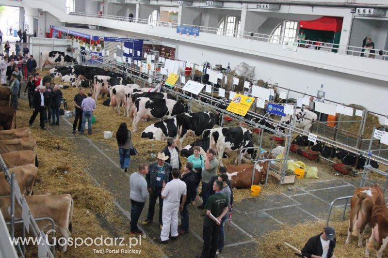 XXVI Krajowa Wystawa Zwierząt Hodowlanych - piątek