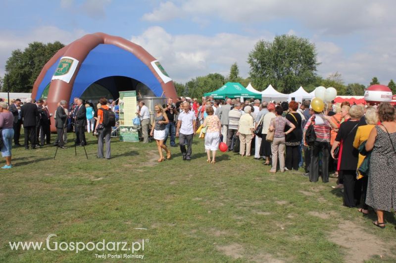 Świętomięs Polski w Chorzowie