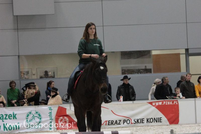 CAVALIADA 2013 w Poznaniu