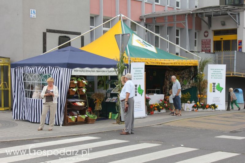 XIV Wojewódzko-Diecezjalne Dożynki Wielkopolskie w Ostrowie Wielkopolskim