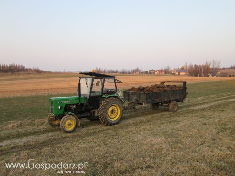 Fotki z wiosny 2015