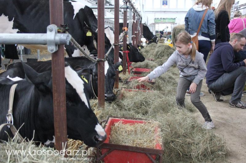 XXVI Krajowa Wystawa Zwierząt Hodowlanych - sobota i niedziela