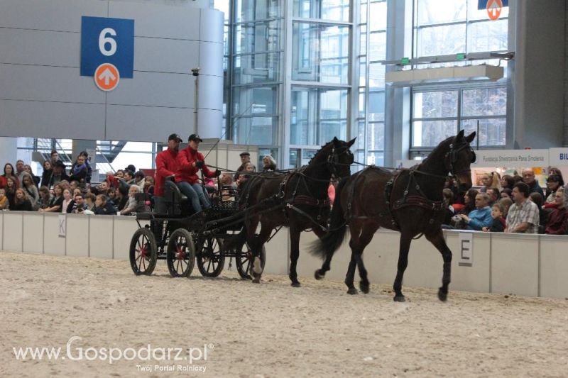 CAVALIADA 2013 w Poznaniu