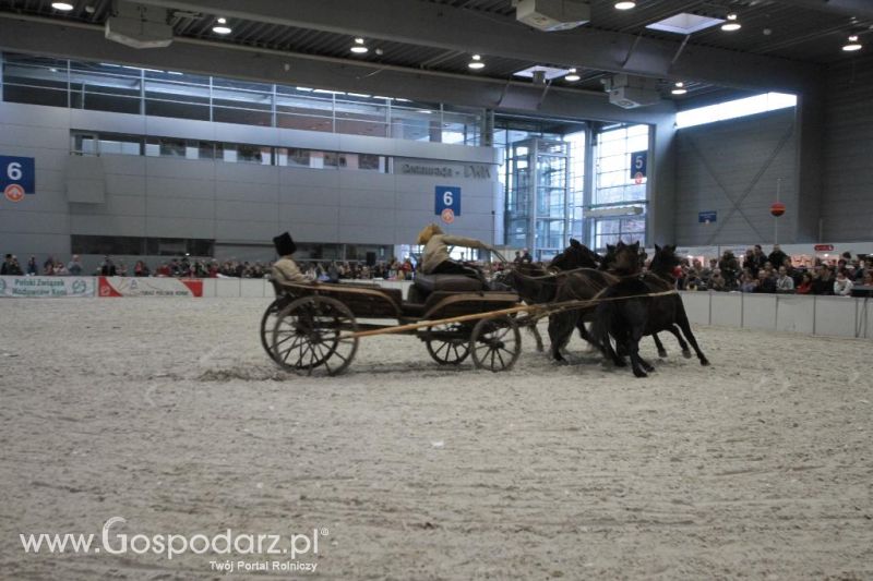 CAVALIADA 2013 w Poznaniu
