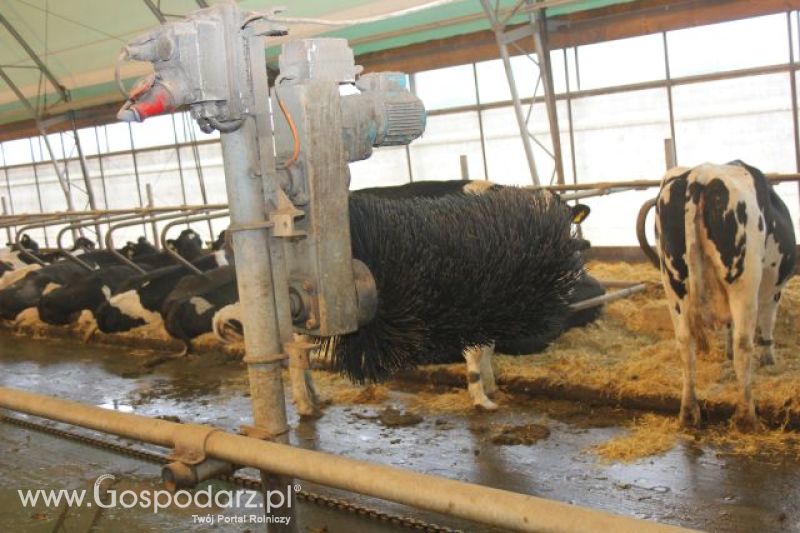 Wyjazd studyjny na farmę w Hohenhameln (Niemcy)