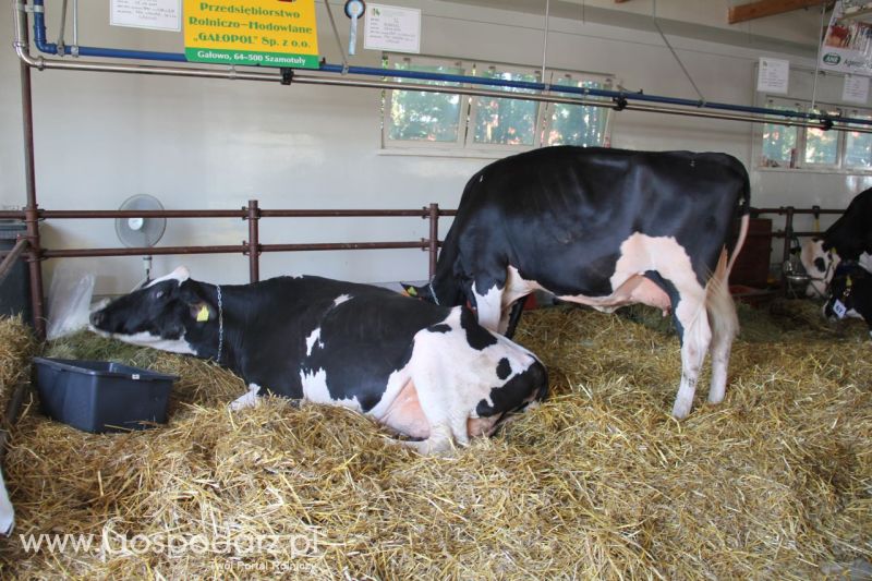Zielone AGRO SHOW – POLSKIE ZBOŻA 2014 w Sielinku - niedziela