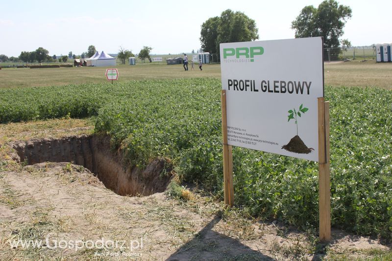 Polskie Zboża 2011 - Sobota