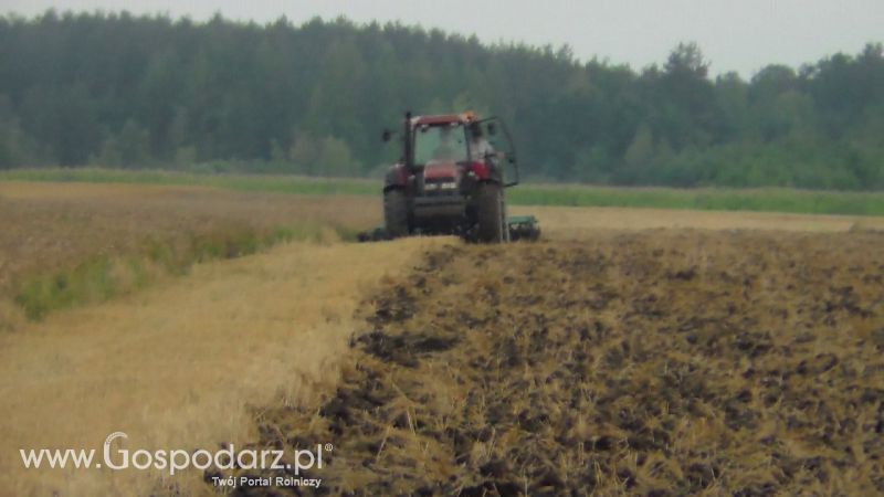 Talerzowane 2013 