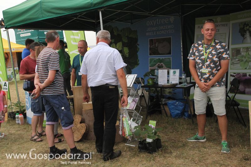 Oxytree na OPOLAGRA Kamień Śląski 2018