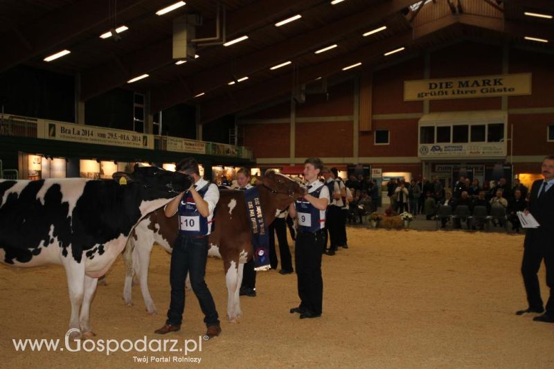 Wystawa  Blickpunkt Rind 2013 w miejscowości Paaren/Glien (Niemcy)