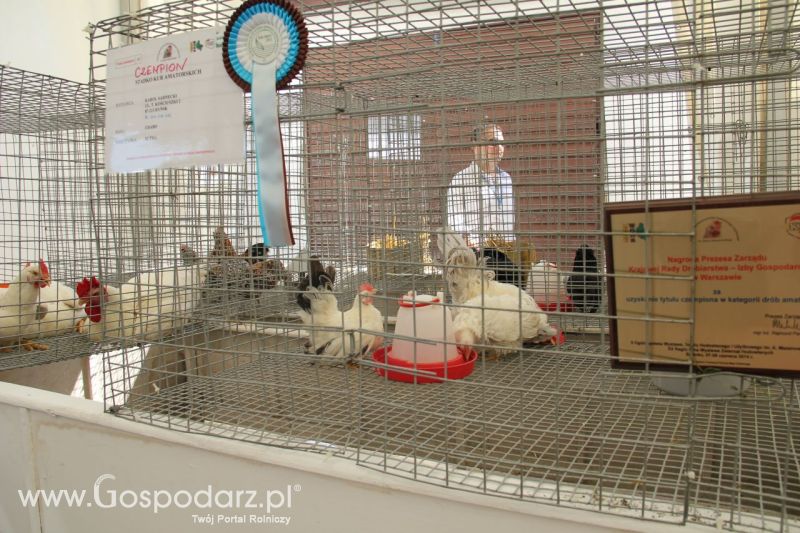 Zielone AGRO SHOW – POLSKIE ZBOŻA 2014 w Sielinku - niedziela