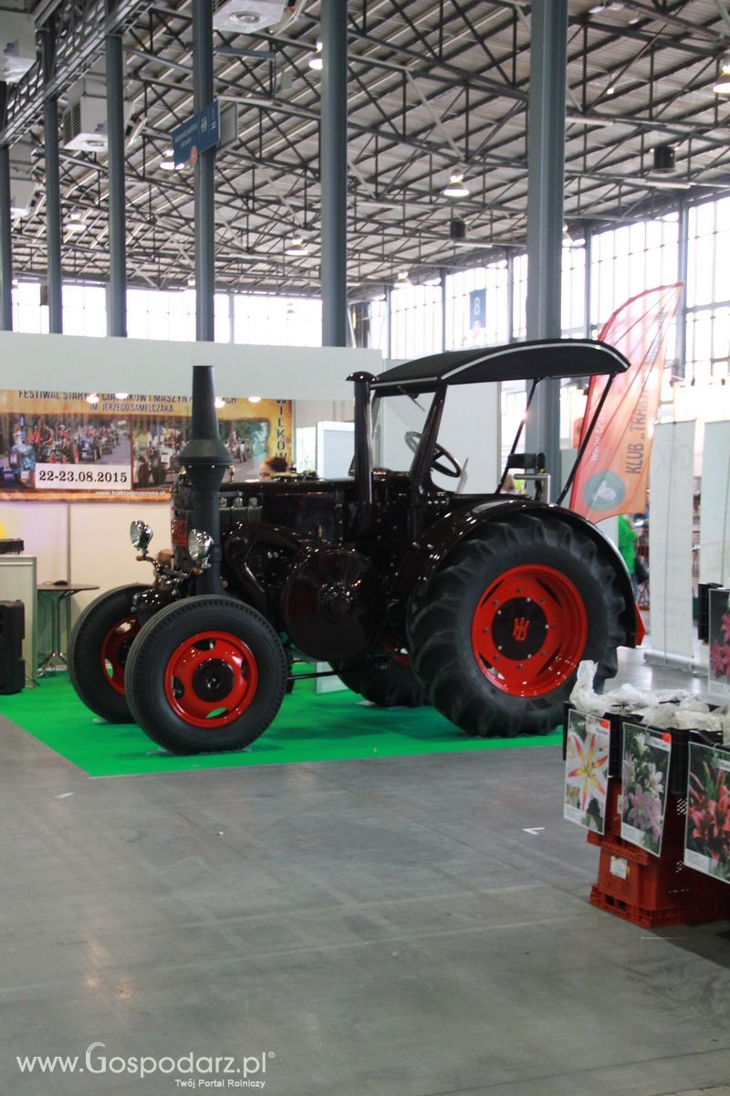 KWZH 2015 piątek