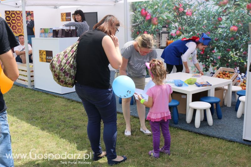 PZU na AGRO-TECH Minikowo 2017