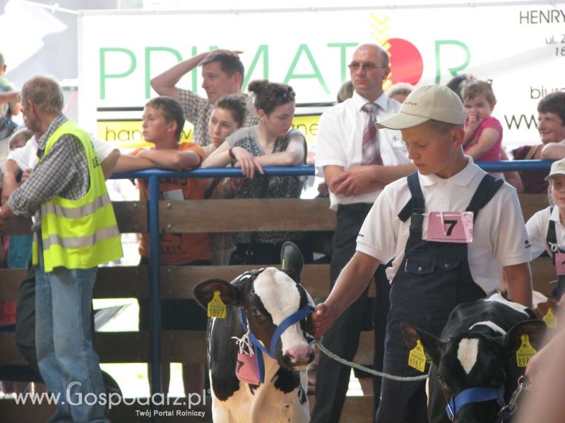 Młody Hodowca - Szepietowo 2012 XIX Regionalna Wystawa Zwierząt Hodowlanych