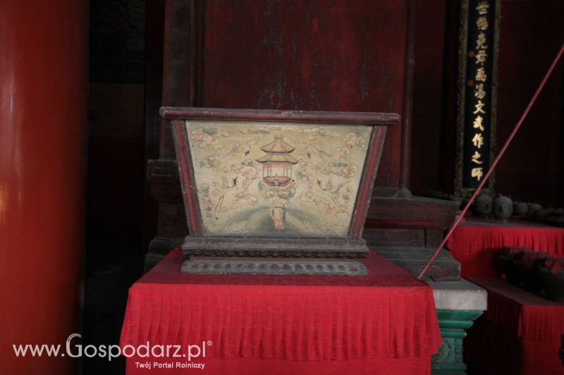 Gospodarz.pl w Chinach