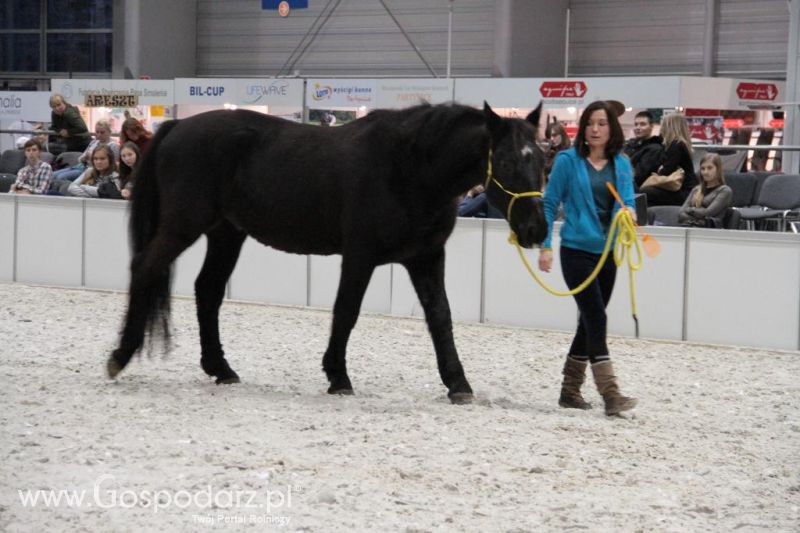 CAVALIADA 2013 w Poznaniu