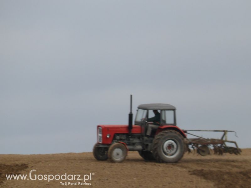 Wiosenne Przesiewki 2012 
