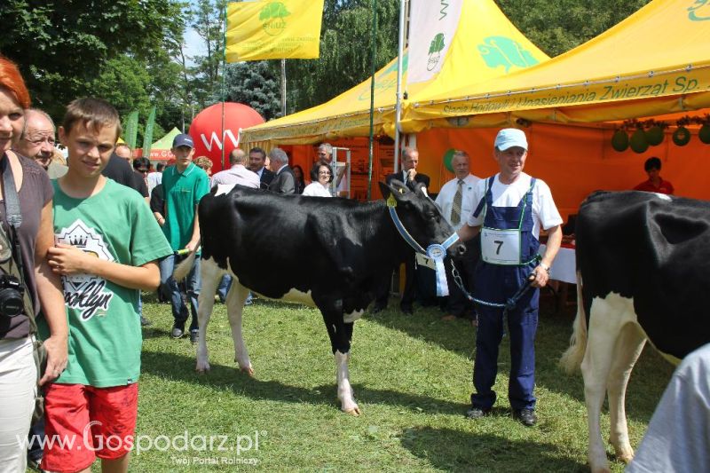 Regionalna Wystawa Zwierząt Hodowlanych i Dni z Doradztwem Rolniczym w Szepietowie-sobota