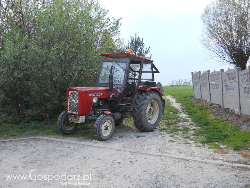  Piotrek9095