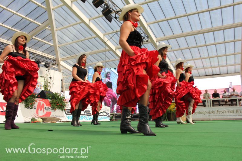 Ogólnopolski Festiwal Wieprzowiny w Sielinku