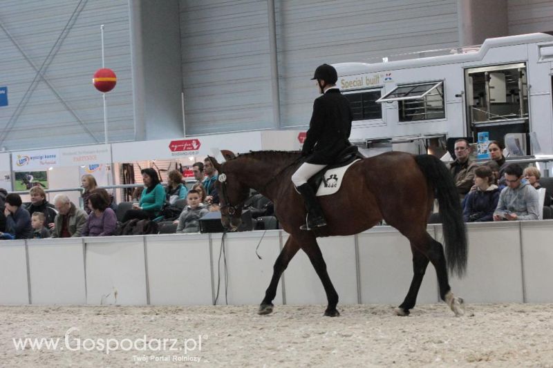 CAVALIADA 2013 w Poznaniu
