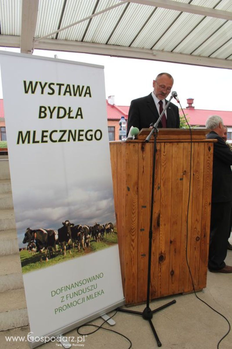 Wystawa bydła Sielinko 2011