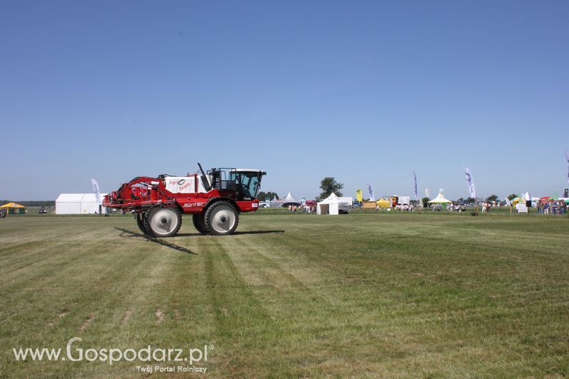 Polskie Zboża 2011 - Piątek 