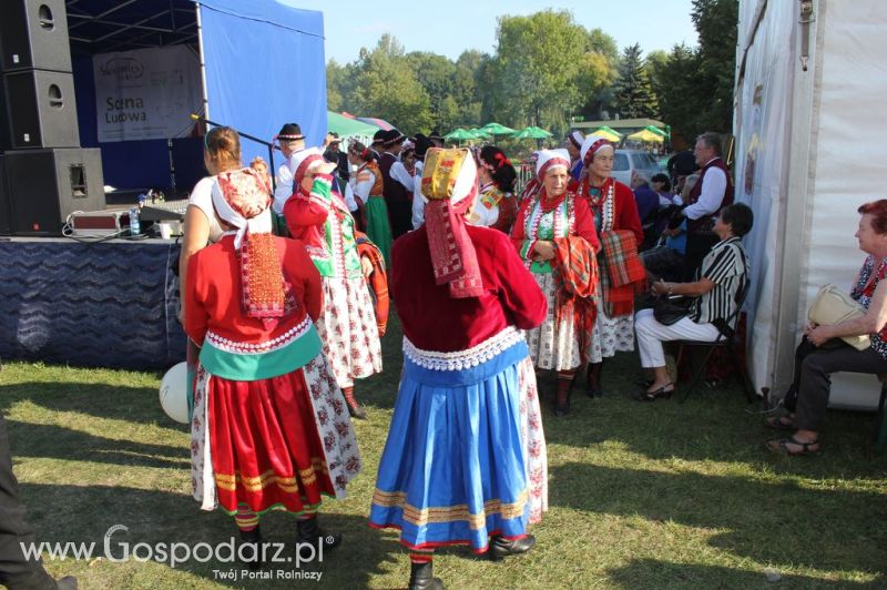 Świętomięs Polski w Chorzowie