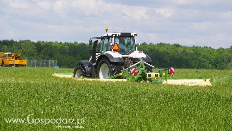 ZIELONE AGRO SHOW 2017 w Ułężu (niedziela, 28 maja)