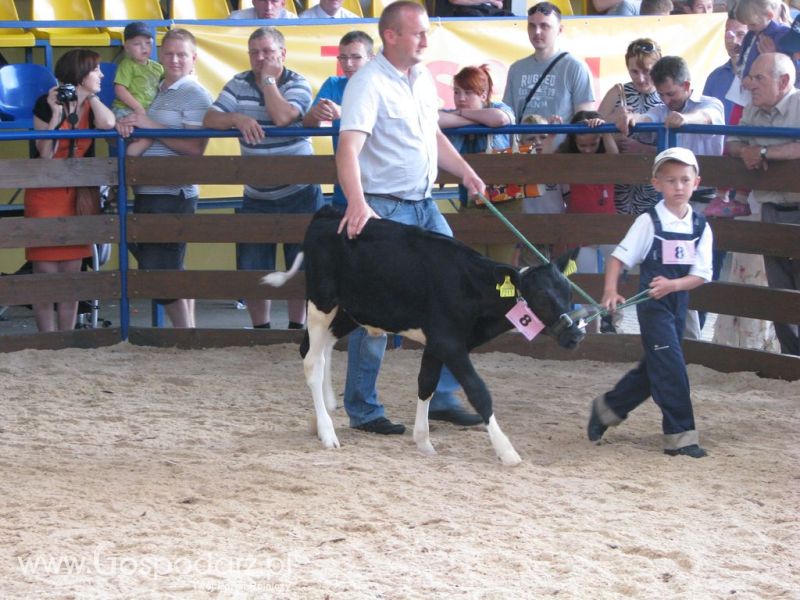 Młody Hodowca - Szepietowo 2012 XIX Regionalna Wystawa Zwierząt Hodowlanych