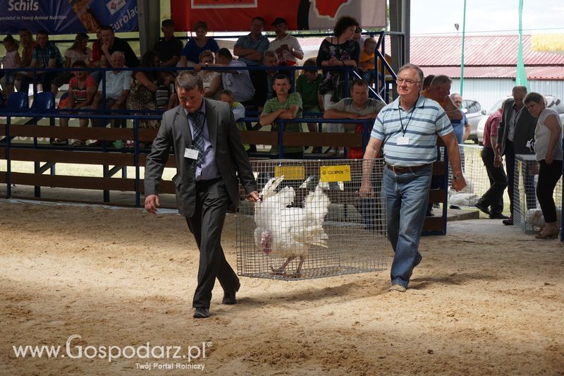 Wystawa zwierząt w Szepietowie