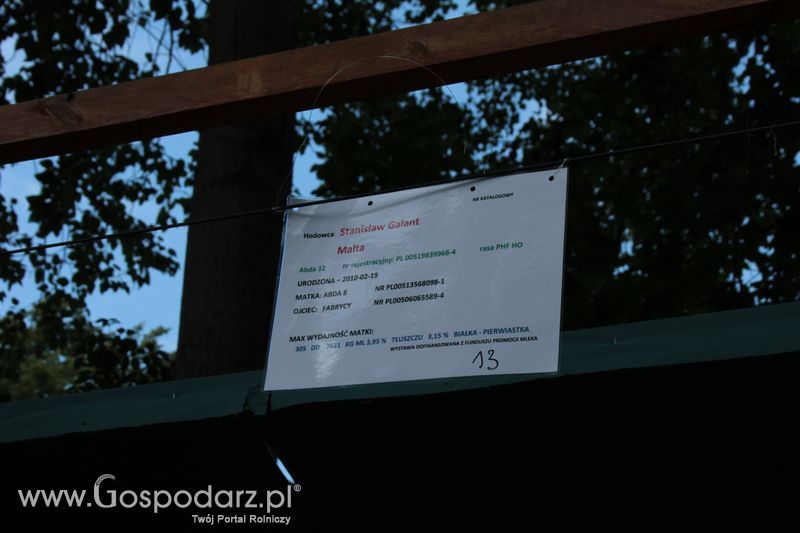 XX Targi Rolnicze Lubniewice - zwierzęta