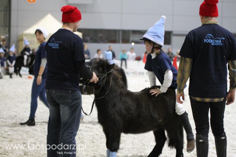 CAVALIADA 2013 w Poznaniu