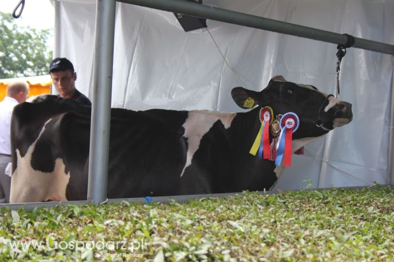 Relacja Foto Agro-Tech Minikowo 2012