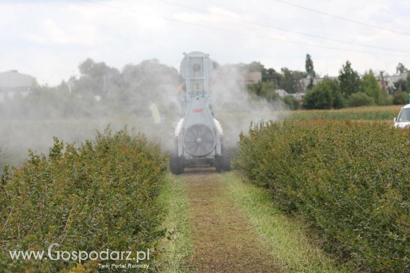 Pokazy Polowe z firmą Bogart