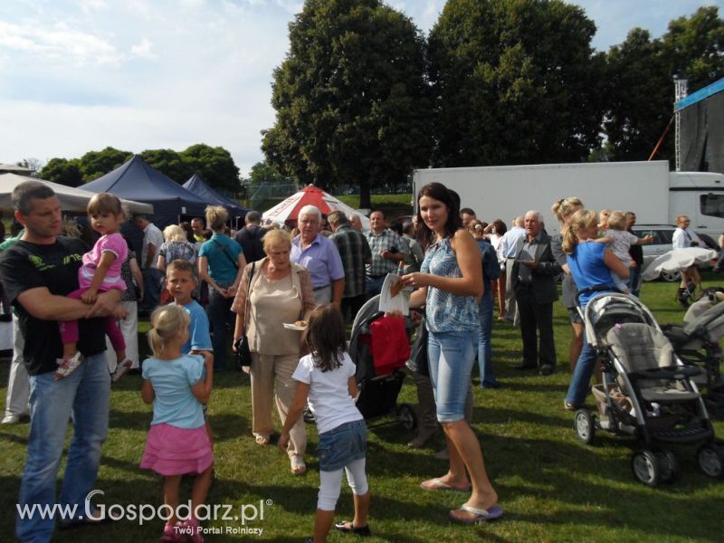 II Festiwal Wieprzowiny w Kwidzyniu