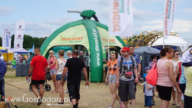 OPOLAGRA 2015 w Kamieniu Śląskim