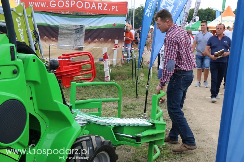 Regionalna Wystawa Zwierząt Hodowlanych i Dni z Doradztwem Rolniczym w Szepietowie 2017 (niedziela)