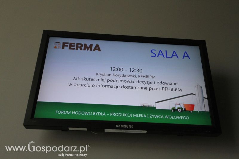 FERMA 2020 dzień 2