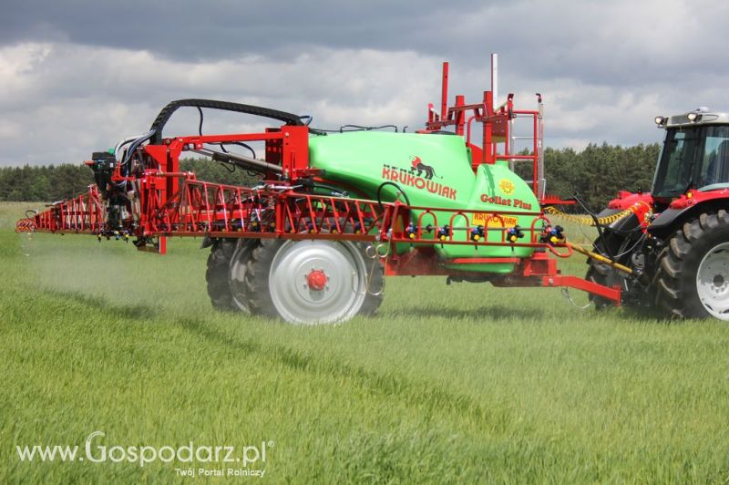 Zielone Agro Show 2012 Kąkolewo - Polskie Zboża 