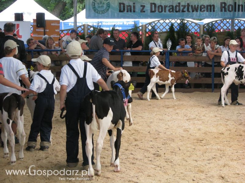 Młody Hodowca - Szepietowo 2012 XIX Regionalna Wystawa Zwierząt Hodowlanych