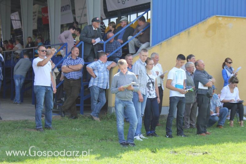 Regionalna Wystawa Zwierząt Hodowlanych i Dni z Doradztwem Rolniczym w Szepietowie-sobota