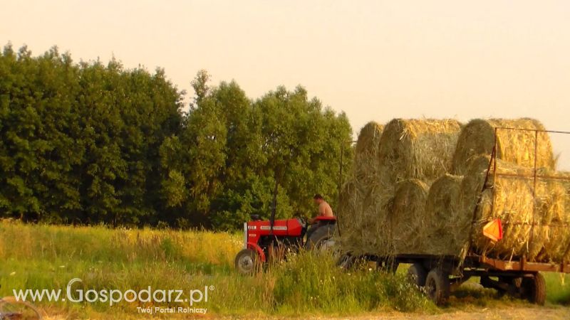 Zbiór Słomy 2013