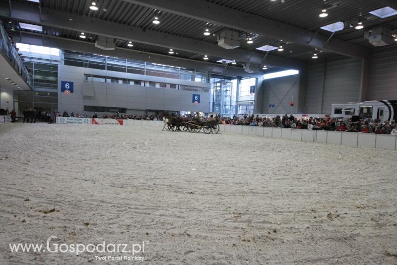 CAVALIADA 2013 w Poznaniu