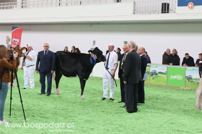 Krajowa Wystawa Zwierząt Hodowlanych w Poznaniu 2017 (niedziela, 7 maja)