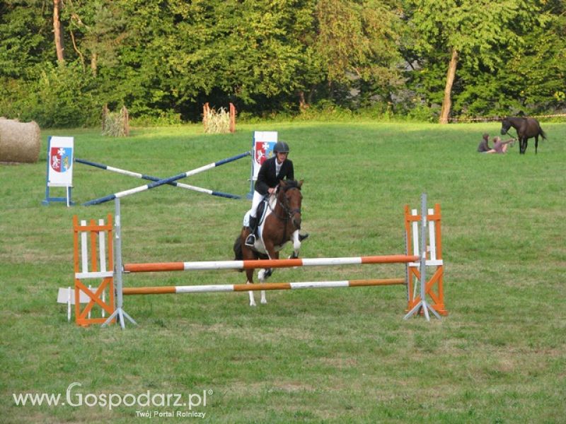 Krajowa Wystawa Ras Rodzimych Rudawka Rymanowska 2012