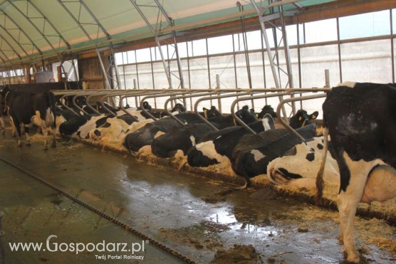 Wyjazd studyjny na farmę w Hohenhameln (Niemcy)