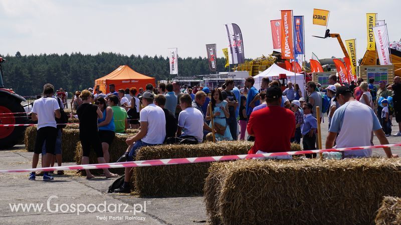 OPOLAGRA 2015 w Kamieniu Śląskim